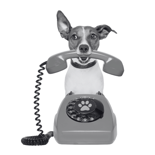 Assistante de direction externalisée pour Automatiser, Structurer, Booster et optimiser grâce aux services d'une office manager indépendante